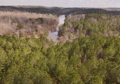 905 Pleasant Grove Road 9