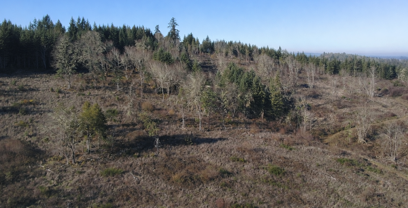 906 Chat GPT Image Jan 13 2026 at 04 15 10 PM