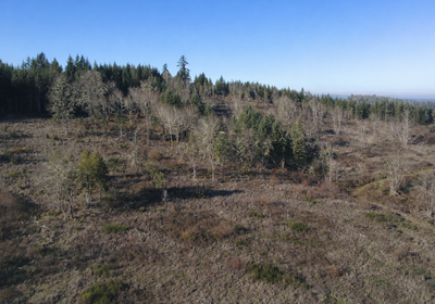 906 Chat GPT Image Jan 13 2026 at 04 15 10 PM