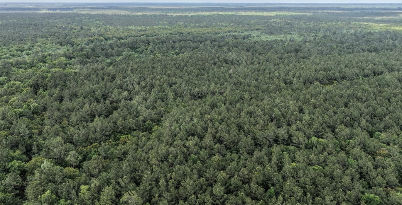 906 DJI 20260415155647 0154 D