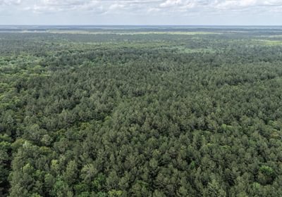 906 DJI 20260415155647 0154 D