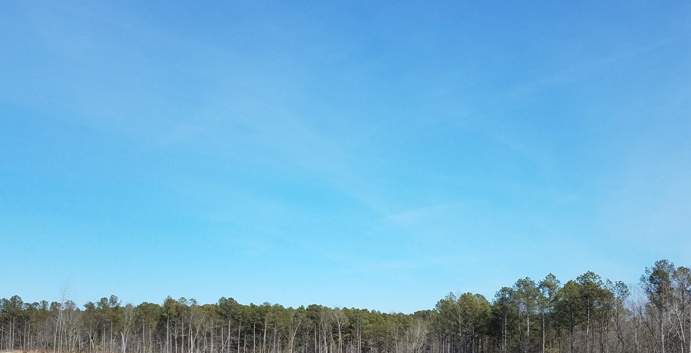 909 Church Hill pic5