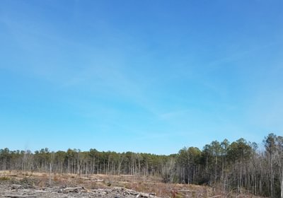 909 Church Hill pic5