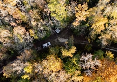 90 DJI 20251106154332 0489 D 1