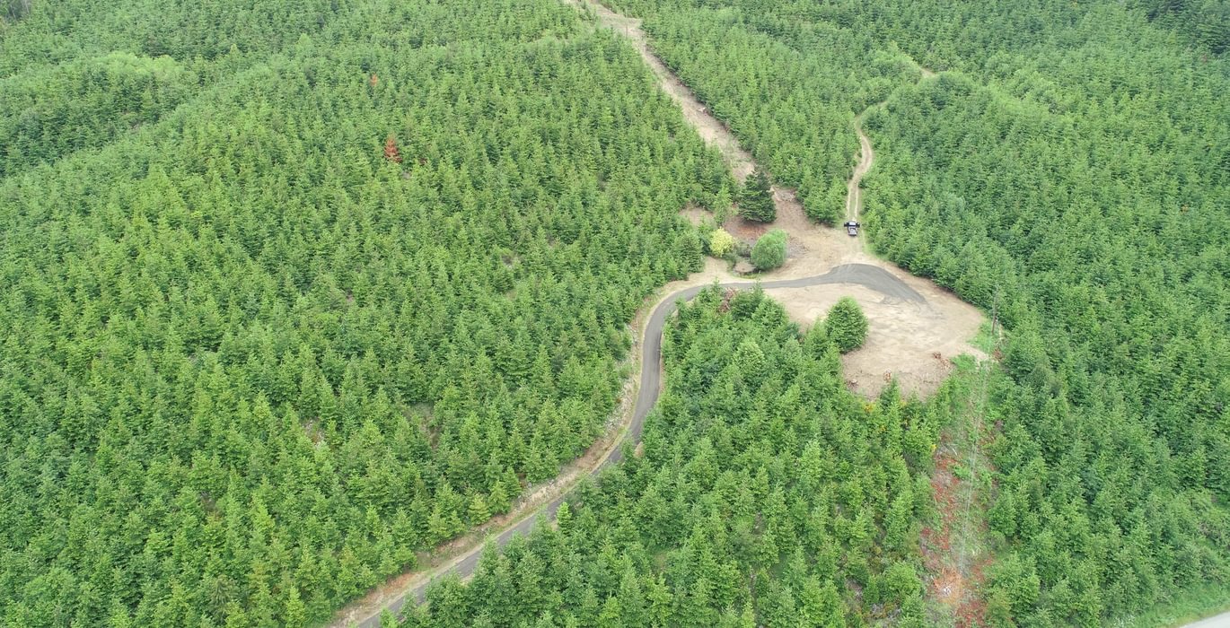 910 DJI 0136