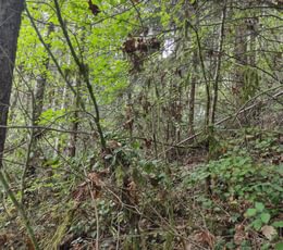 910 IMG 20240923 120139315 HDR