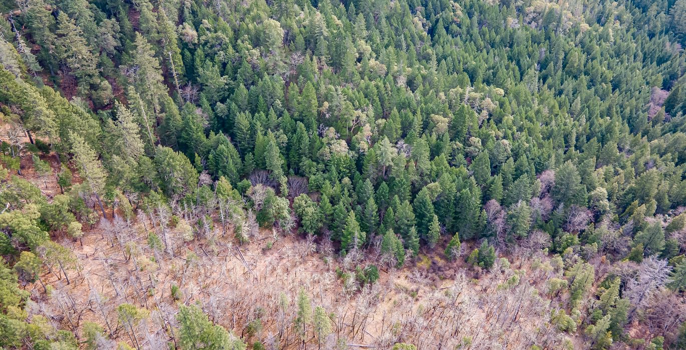 913 DJI 0799 HDR Image Merge