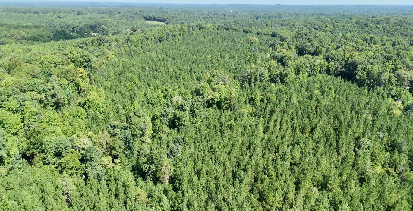 913 Simlin Creek Photo 4