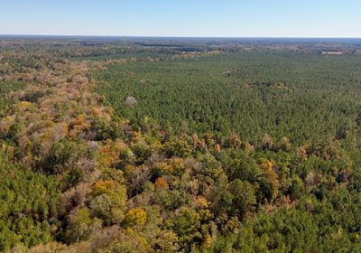 915 AFM Bladen 339 Photo 25