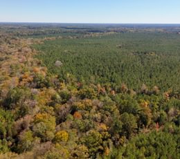 915 AFM Bladen 339 Photo 25