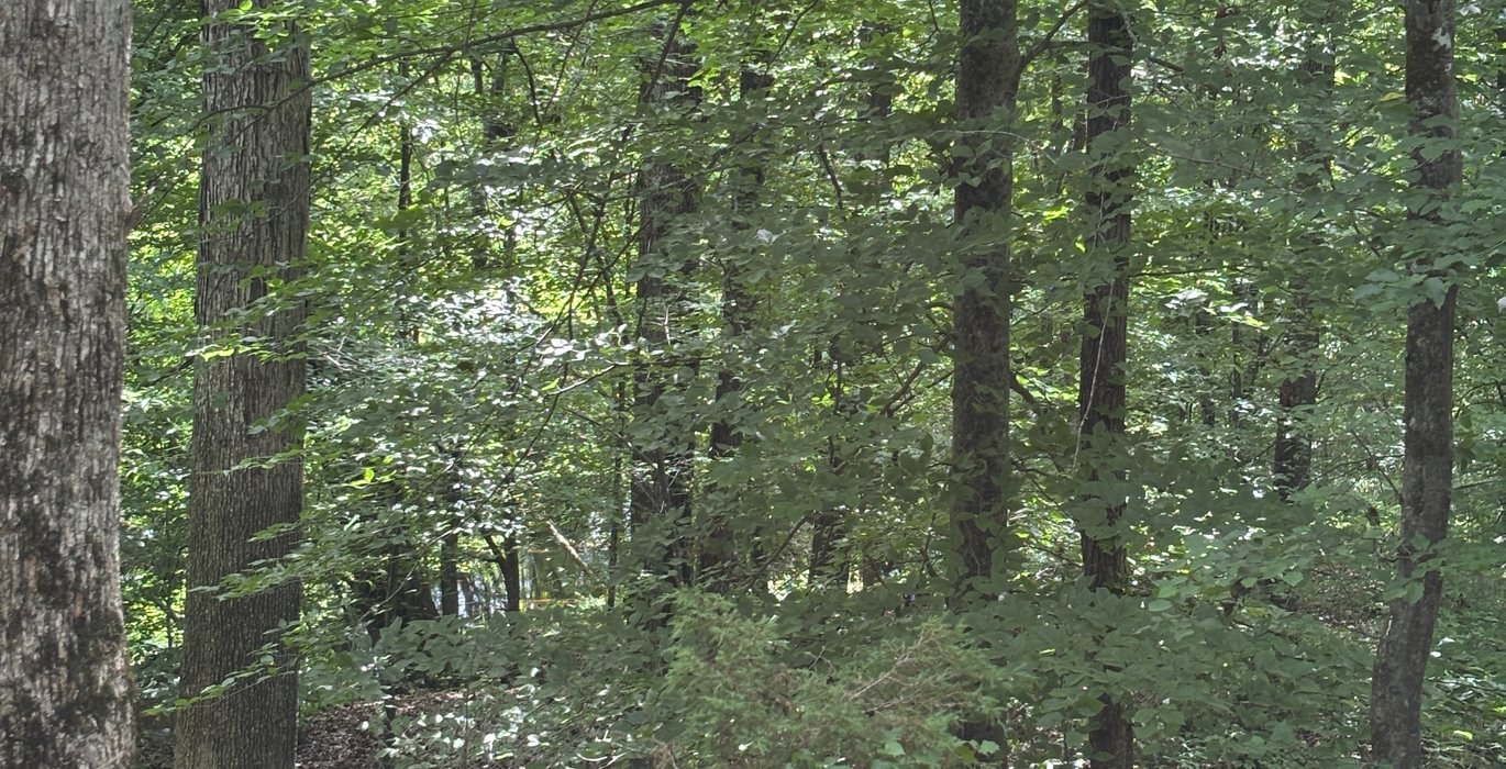 915 IMG 4024