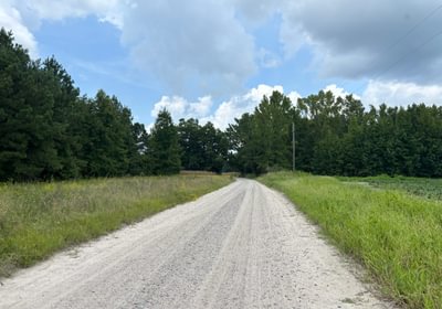 915 IMG 8370