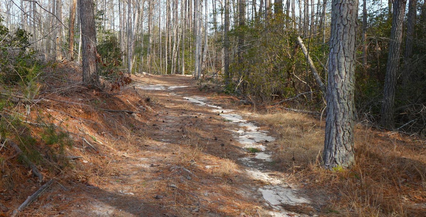 916 Church Hill pic6