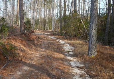 916 Church Hill pic6