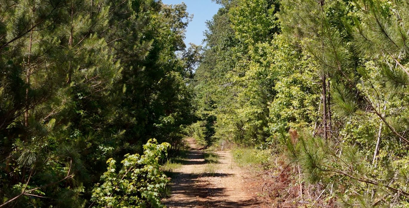 916 Horton Tract Photo 37