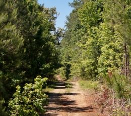 916 Horton Tract Photo 37