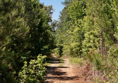916 Horton Tract Photo 37