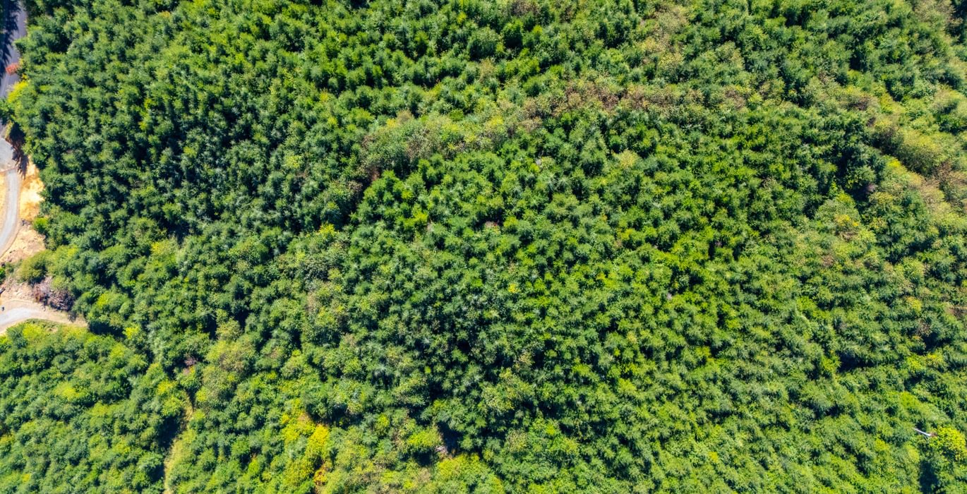 916 overhead 2