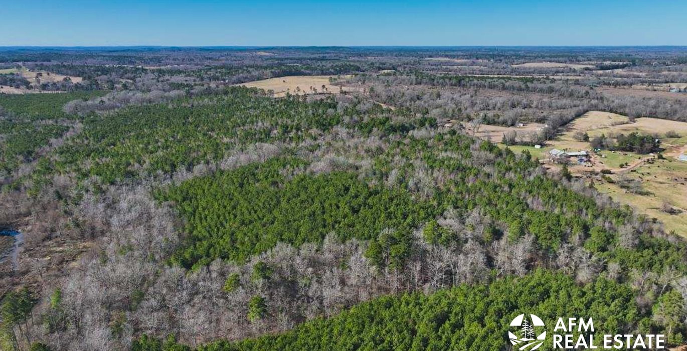 917 DJI 20250201142530 0008 V