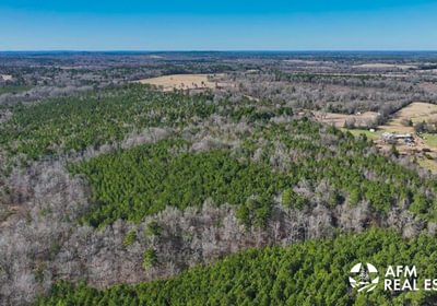 917 DJI 20250201142530 0008 V