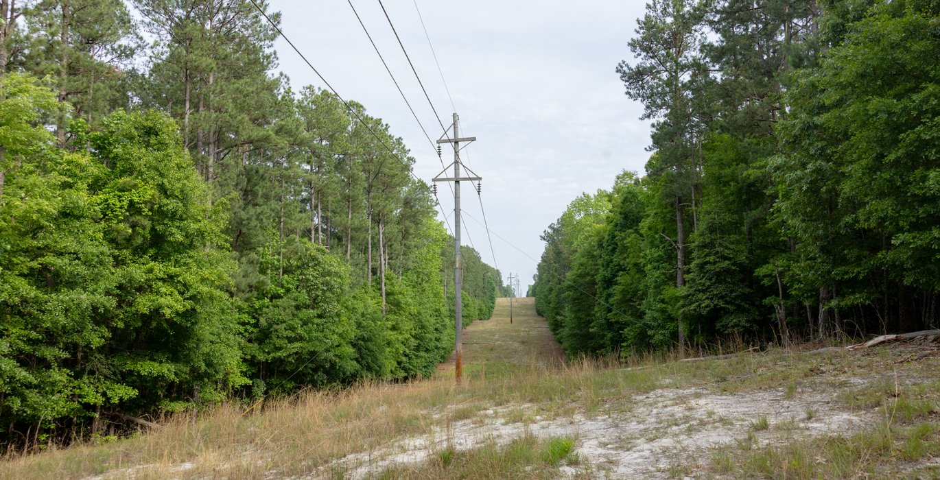 918 796 A0873 1