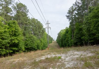 918 796 A0873 1