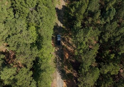 918 Cabin Creek Photo 7
