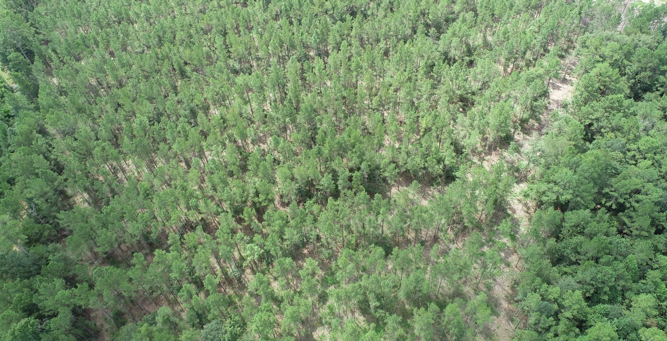 918 DJI 0508