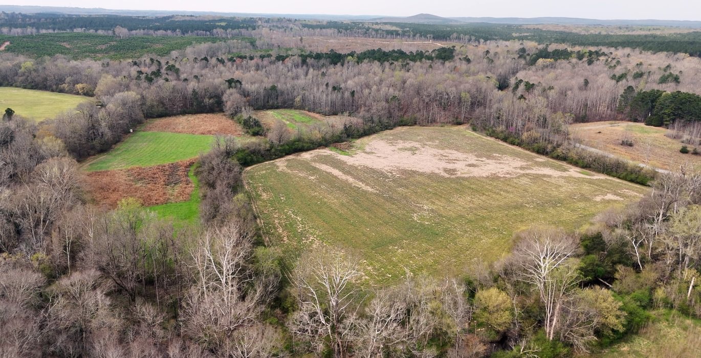 919 AFM West Fork 85 Photo 8