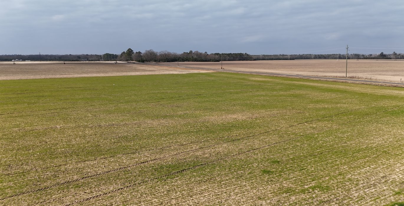 919 DJI 20250206115906 0114 D