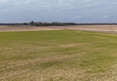 919 DJI 20250206115906 0114 D