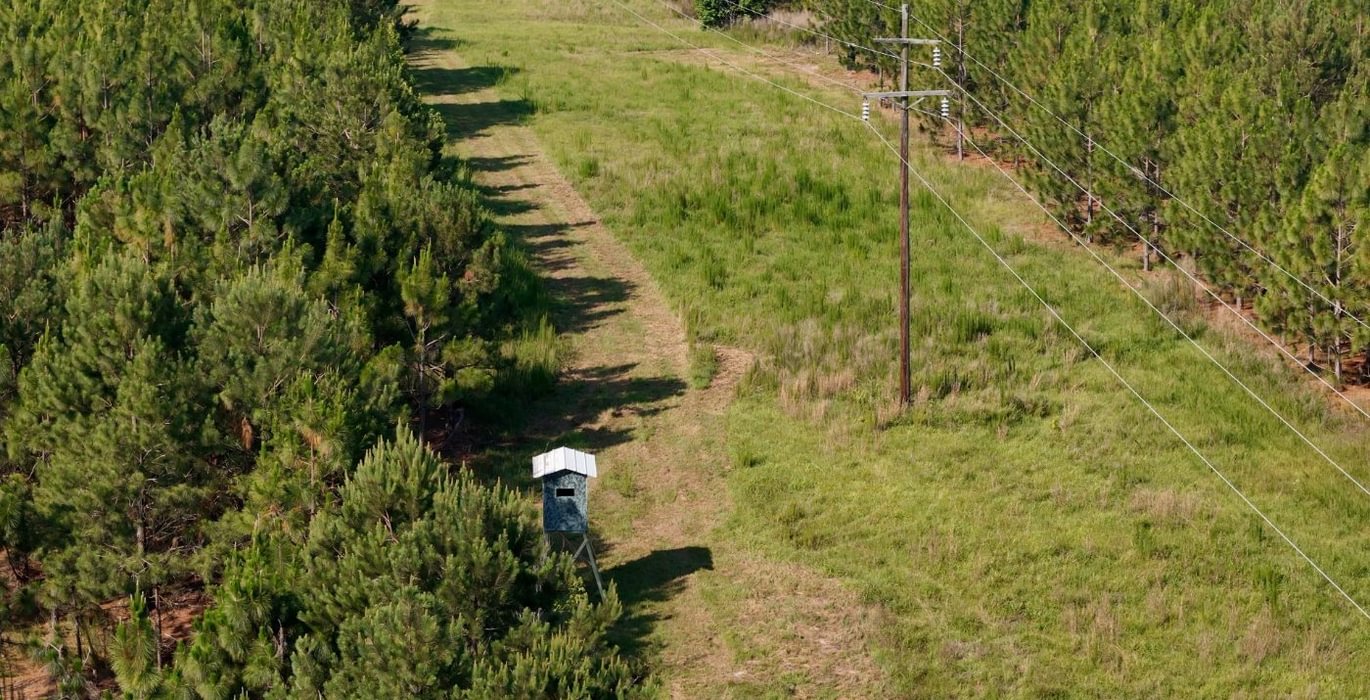 919 Longleaf Mecca Photo 9