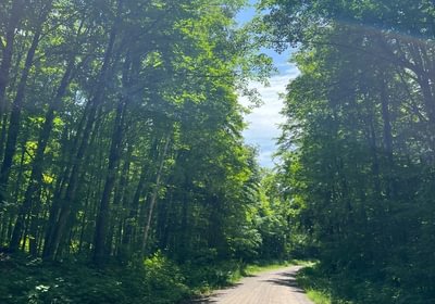 919 perchlake 1