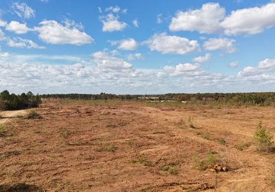 91 dji fly 20251107 132200 0043 1762640689259 photo