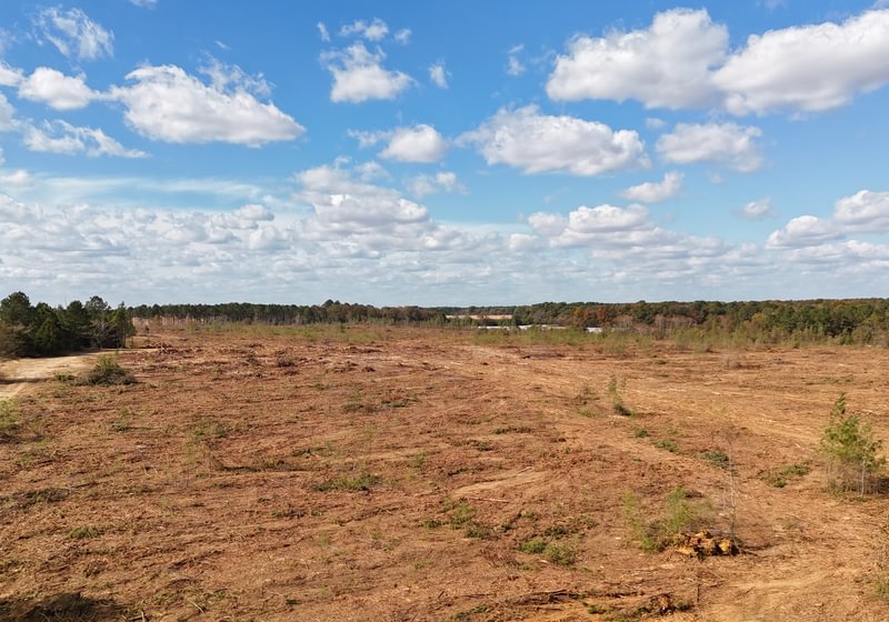 Photo 3 of Dooly County - Edwards Rd Farms, 101 acres, Dooly County, Georgia