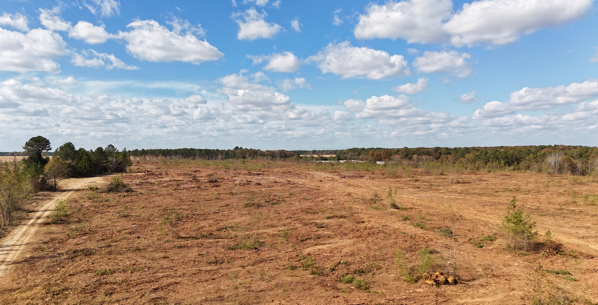 Photo 3 of Dooly County - Edwards Rd Farms, 101 acres, Dooly County, Georgia