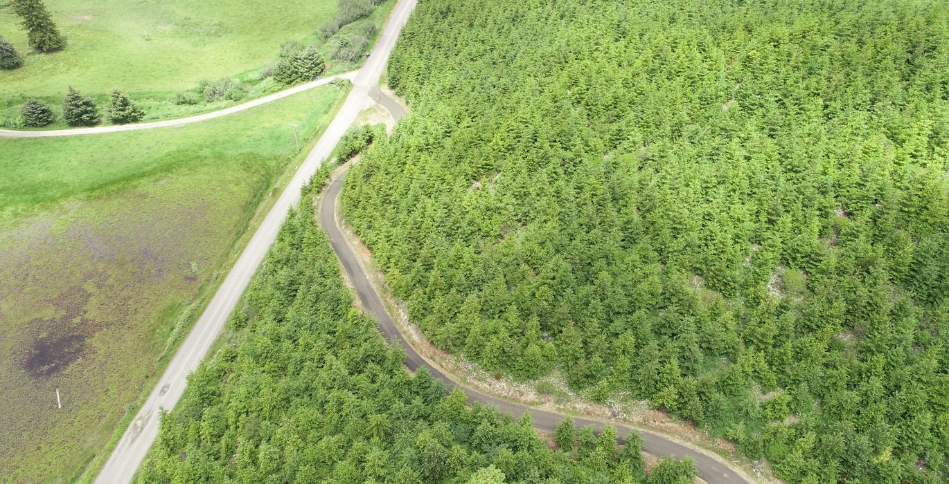 920 DJI 0099