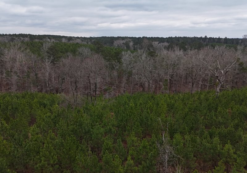 Photo 15 of Chickasaw Pines at Lake Sinclair, 131 acres, Hancock County, Georgia
