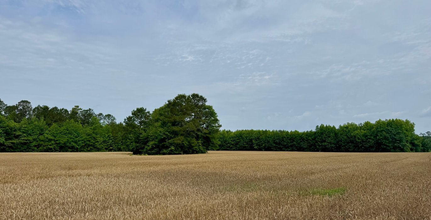 921 IMG 7525
