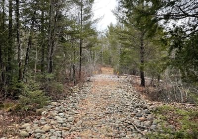 922 2025 04 16 road across swale in SW corner
