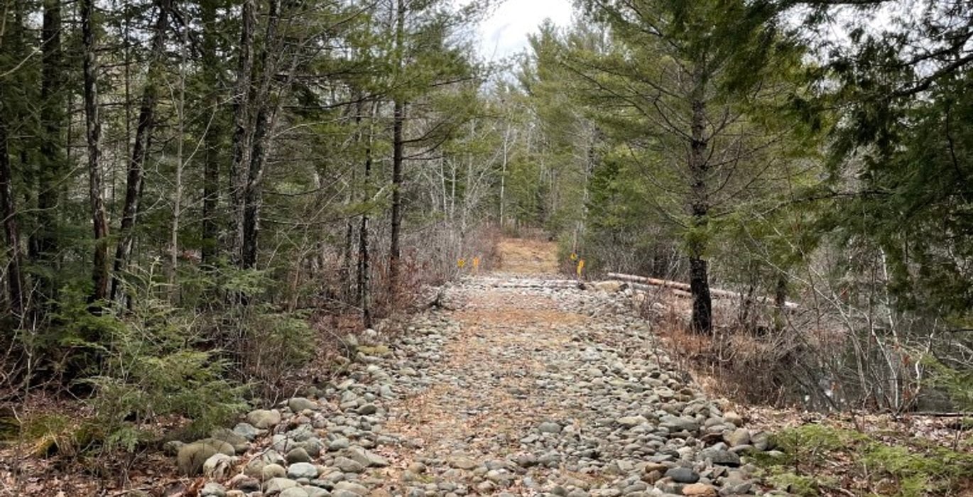 922 2025 04 16 road across swale in SW corner