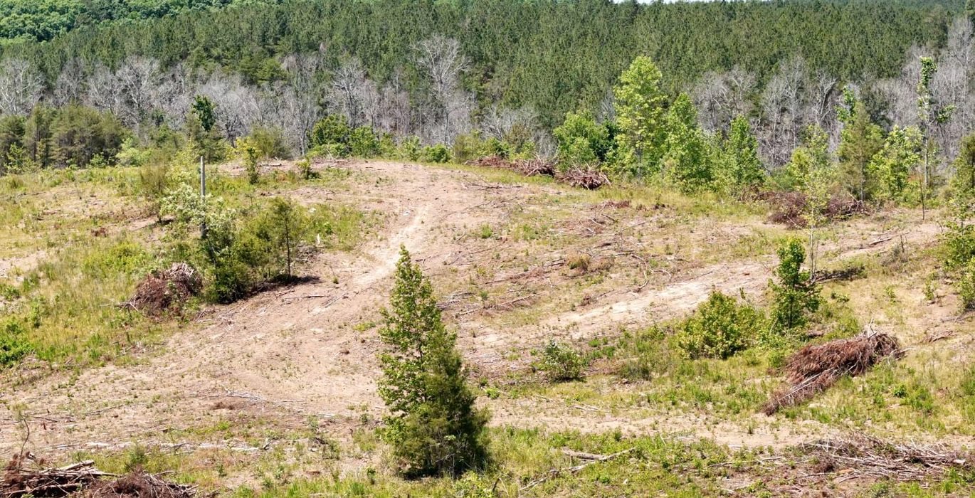 922 AFM Big Mountain Creek Photo 26