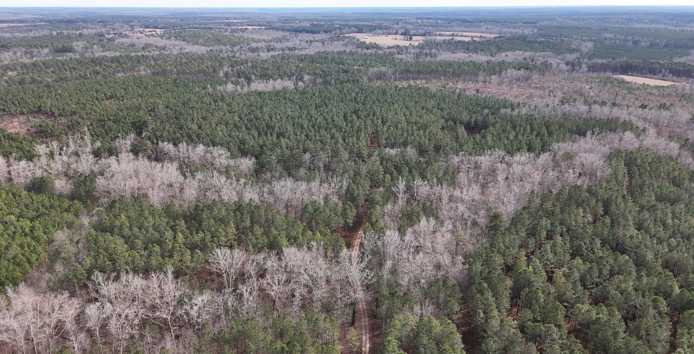 922 DJI 20260129140113 0141 D