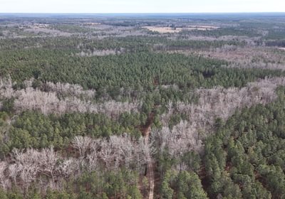 922 DJI 20260129140113 0141 D