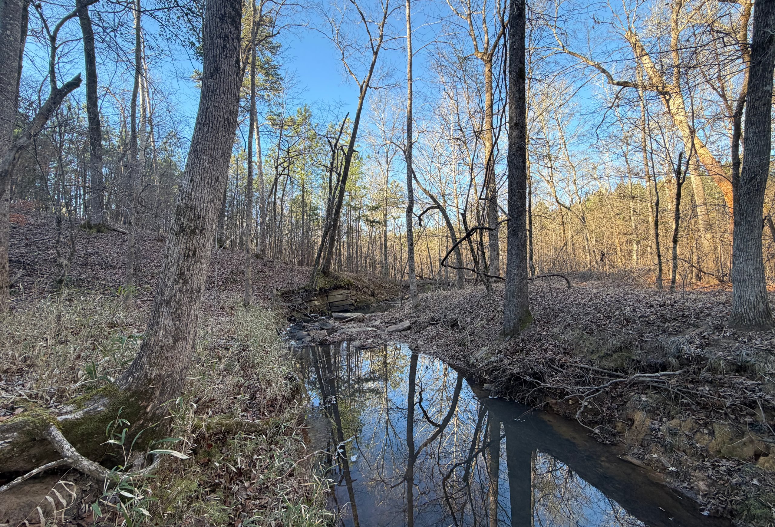 Photo 9 of Rush Creek Farms, 100.6 acres, Putnam County, Georgia