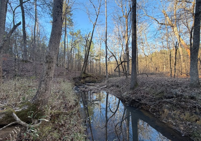 Photo 9 of Rush Creek Farms, 100.6 acres, Putnam County, Georgia