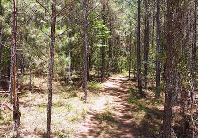 926 dji fly 20260603 130620 306 1780506551740 photo optimized