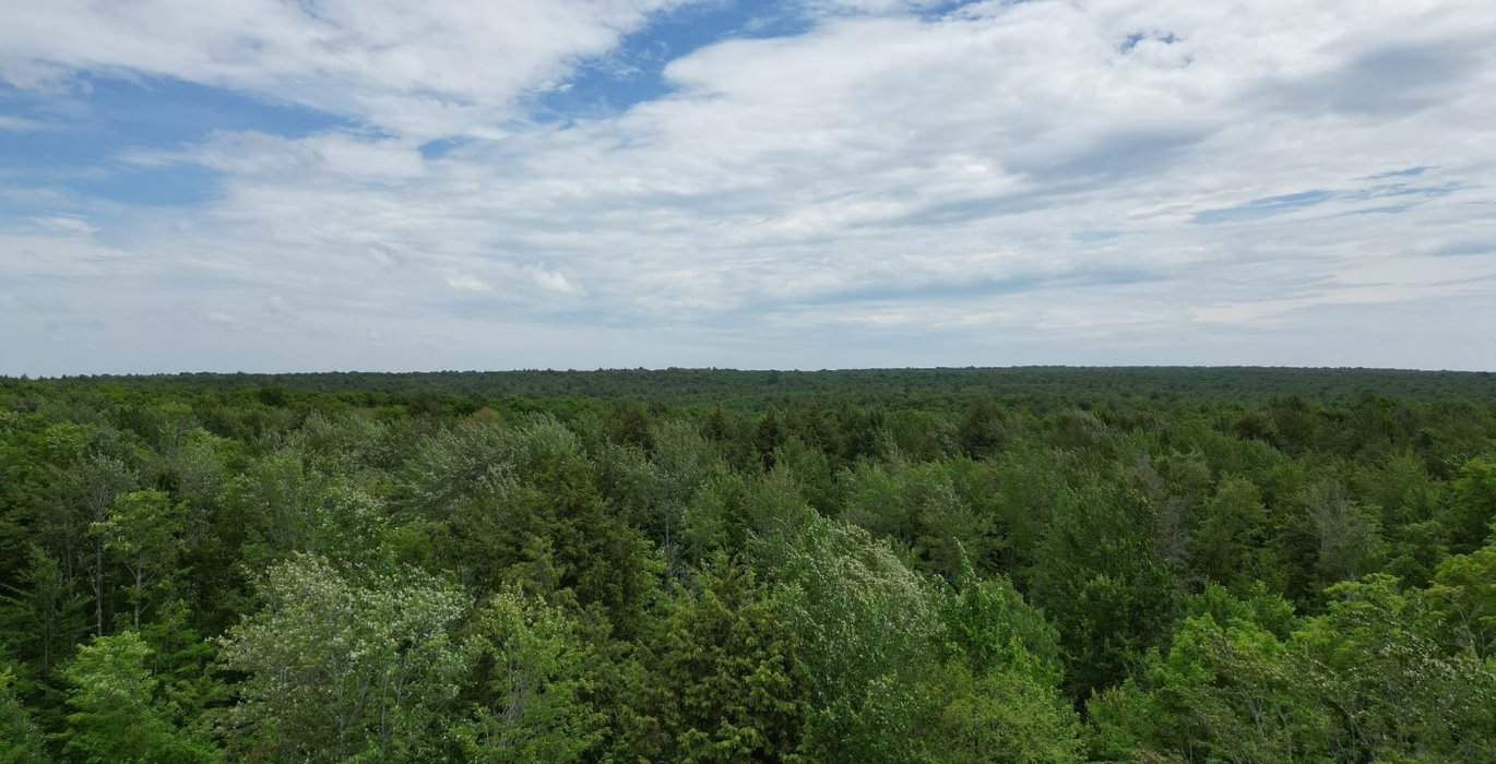 929 perchlake 28