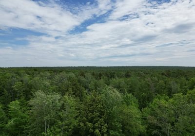929 perchlake 28