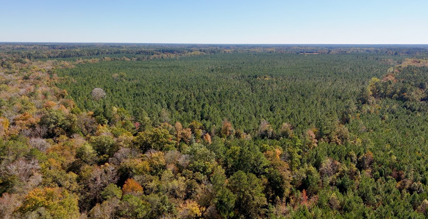 92 AFM Bladen 339 Photo 20